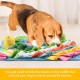 Romon Sniffing Rug for Dogs - 40 x 40 cm, Sniffing Mat as Intelligence Toy for Dogs, Puppies & Cats, Dog Toy with Non-Slip Underside, Washable & Foldable Romon Sniffing Rug for Dogs - 40 x 40 cm, Sniffing Mat as Intelligence Toy for Dogs, Puppies & Cats, Dog Toy with Non-Slip Underside, Washable & Foldable