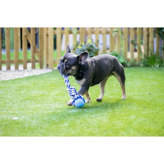 Rosewood 3" Tennis Ball Tug toy for dogs (Asstd colours) Rosewood 3" Tennis Ball Tug toy for dogs (Asstd colours)