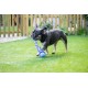 Rosewood 3" Tennis Ball Tug toy for dogs (Asstd colours) Rosewood 3" Tennis Ball Tug toy for dogs (Asstd colours)