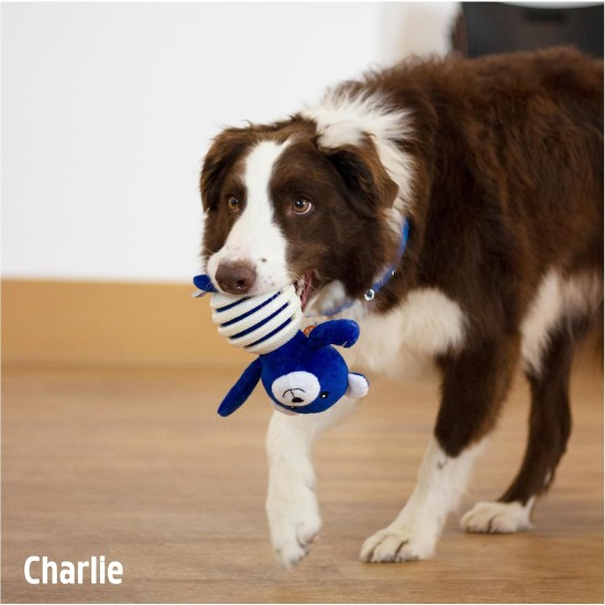 Rosewood Battersea Foam Frisbee Dog Toy, 23.5cm x 23.5cm, Lightweight, Durable, Frisbee for Fetch, Play and Training with Dogs Rosewood Battersea Foam Frisbee Dog Toy, 23.5cm x 23.5cm, Lightweight, Durable, Frisbee for Fetch, Play and Training with Dogs