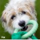 Rosewood Battersea Foam Frisbee Dog Toy, 23.5cm x 23.5cm, Lightweight, Durable, Frisbee for Fetch, Play and Training with Dogs Rosewood Battersea Foam Frisbee Dog Toy, 23.5cm x 23.5cm, Lightweight, Durable, Frisbee for Fetch, Play and Training with Dogs