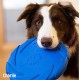 Rosewood Battersea Foam Frisbee Dog Toy, 23.5cm x 23.5cm, Lightweight, Durable, Frisbee for Fetch, Play and Training with Dogs Rosewood Battersea Foam Frisbee Dog Toy, 23.5cm x 23.5cm, Lightweight, Durable, Frisbee for Fetch, Play and Training with Dogs