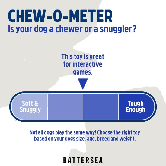 Rosewood Battersea Foam Frisbee Dog Toy, 23.5cm x 23.5cm, Lightweight, Durable, Frisbee for Fetch, Play and Training with Dogs Rosewood Battersea Foam Frisbee Dog Toy, 23.5cm x 23.5cm, Lightweight, Durable, Frisbee for Fetch, Play and Training with Dogs