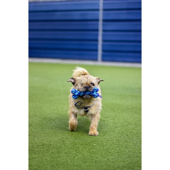 Rosewood Battersea Foam Frisbee Dog Toy, 23.5cm x 23.5cm, Lightweight, Durable, Frisbee for Fetch, Play and Training with Dogs Rosewood Battersea Foam Frisbee Dog Toy, 23.5cm x 23.5cm, Lightweight, Durable, Frisbee for Fetch, Play and Training with Dogs