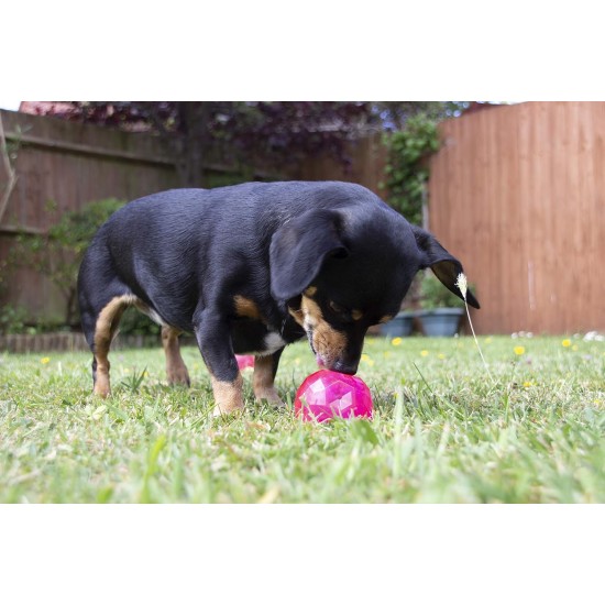 Rosewood Biosafe Puppy Treat ball Dispenser Blue Rosewood Biosafe Puppy Treat ball Dispenser Blue