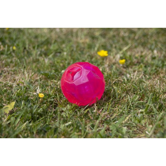 Rosewood Biosafe Puppy Treat ball Dispenser Blue Rosewood Biosafe Puppy Treat ball Dispenser Blue