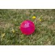 Rosewood Biosafe Puppy Treat ball Dispenser Blue