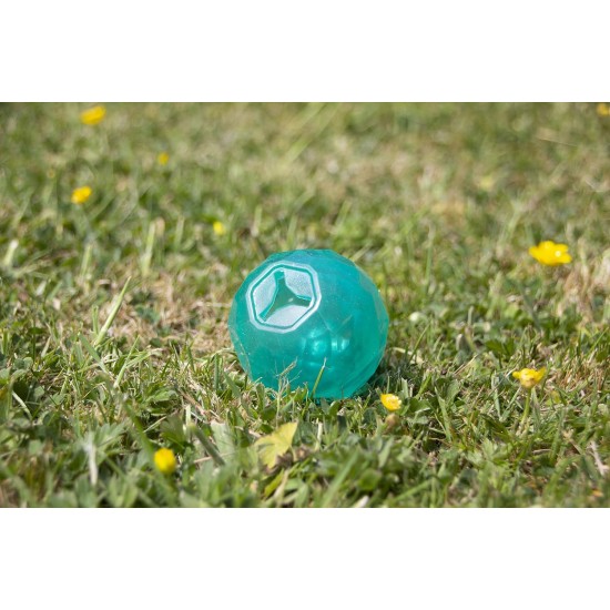 Rosewood Biosafe Puppy Treat ball Dispenser Blue Rosewood Biosafe Puppy Treat ball Dispenser Blue