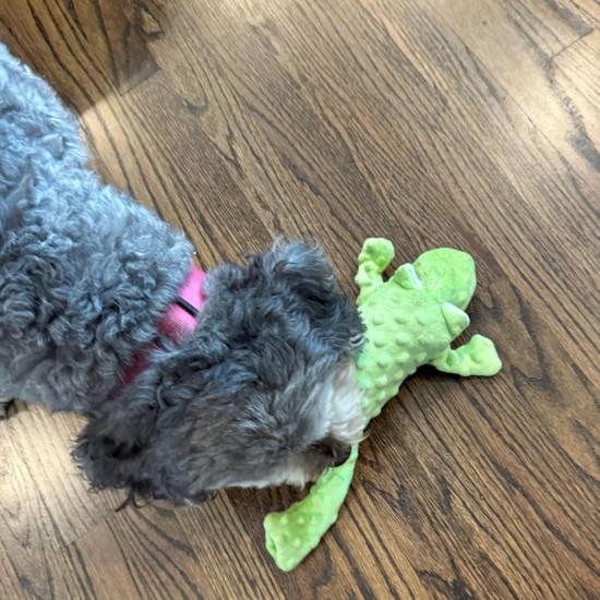 SPOT Ethical Pets Skinneeez Extreme Frog Filling Free Dog Toy, 14" SPOT Ethical Pets Skinneeez Extreme Frog Filling Free Dog Toy, 14"