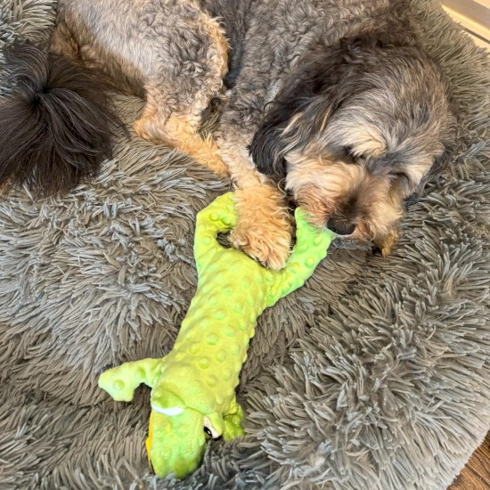 SPOT Ethical Pets Skinneeez Extreme Frog Filling Free Dog Toy, 14" SPOT Ethical Pets Skinneeez Extreme Frog Filling Free Dog Toy, 14"