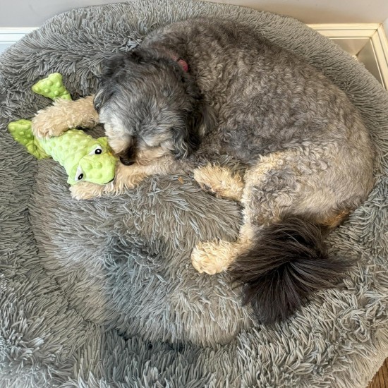 SPOT Ethical Pets Skinneeez Extreme Frog Filling Free Dog Toy, 14" SPOT Ethical Pets Skinneeez Extreme Frog Filling Free Dog Toy, 14"