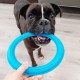 Sky Ring | Multifunctional Ring for Dogs | Throw and Pull | Flavored Natural Rubber | Active and Durable Play | Ideal for Medium Breeds (Medium Size) Sky Ring | Multifunctional Ring for Dogs | Throw and Pull | Flavored Natural Rubber | Active and Durable Play | Ideal for Medium Breeds (Medium Size)