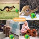 Snuffle Ball for Dogs, Interactive Puzzle Dog Toy, Promotes Natural Foraging, Slow Feeding for Training and Stress Relief, Fabric Strips, Hidden Food Chew Toys for Dogs Snuffle Ball for Dogs, Interactive Puzzle Dog Toy, Promotes Natural Foraging, Slow Feeding for Training and Stress Relief, Fabric Strips, Hidden Food Chew Toys for Dogs