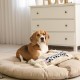 Spot Skinneeez Crinklers | Fabricless Dog Toy with Squeaker for Small Dogs | Crinkle Toy for Small Puppies | 14 Inch | Cow Design | Ethical Pet Spot Skinneeez Crinklers | Fabricless Dog Toy with Squeaker for Small Dogs | Crinkle Toy for Small Puppies | 14 Inch | Cow Design | Ethical Pet