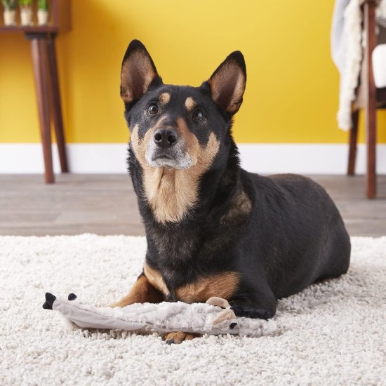Spot Skinneeez Crinklers | Fabricless Dog Toy with Squeaker for Small Dogs | Crinkle Toy for Small Puppies | 14 Inch | Cow Design | Ethical Pet Spot Skinneeez Crinklers | Fabricless Dog Toy with Squeaker for Small Dogs | Crinkle Toy for Small Puppies | 14 Inch | Cow Design | Ethical Pet