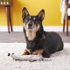 Spot Skinneeez Crinklers | Fabricless Dog Toy with Squeaker for Small Dogs | Crinkle Toy for Small Puppies | 14 Inch | Cow Design | Ethical Pet Spot Skinneeez Crinklers | Fabricless Dog Toy with Squeaker for Small Dogs | Crinkle Toy for Small Puppies | 14 Inch | Cow Design | Ethical Pet