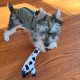 Spot Skinneeez Crinklers | Fabricless Dog Toy with Squeaker for Small Dogs | Crinkle Toy for Small Puppies | 14 Inch | Cow Design | Ethical Pet Spot Skinneeez Crinklers | Fabricless Dog Toy with Squeaker for Small Dogs | Crinkle Toy for Small Puppies | 14 Inch | Cow Design | Ethical Pet