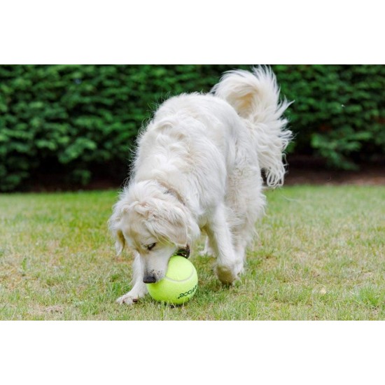 Squeaky Tennis Balls, 3-Piece Squeaky Tennis Balls, 3-Piece