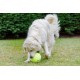 Squeaky Tennis Balls, 3-Piece Squeaky Tennis Balls, 3-Piece