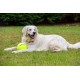 Squeaky Tennis Balls, 3-Piece Squeaky Tennis Balls, 3-Piece