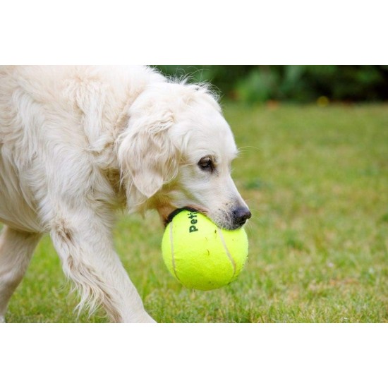 Squeaky Tennis Balls, 3-Piece Squeaky Tennis Balls, 3-Piece