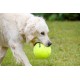 Squeaky Tennis Balls, 3-Piece Squeaky Tennis Balls, 3-Piece