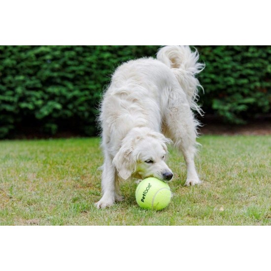 Squeaky Tennis Balls, 3-Piece Squeaky Tennis Balls, 3-Piece