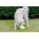 Squeaky Tennis Balls, 3-Piece Squeaky Tennis Balls, 3-Piece