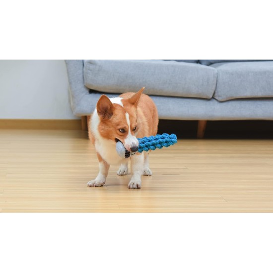 Star Wars for Pets Millennium Falcon Rope Frisbee Dog Toy, Millennium Falcon Chew Toy for Dogs Dog Toy, Dog Frisbee, Dog Tug Toy, Tug of War Chew Toy Star Wars for Pets Millennium Falcon Rope Frisbee Dog Toy, Millennium Falcon Chew Toy for Dogs Dog Toy, Dog Frisbee, Dog Tug Toy, Tug of War Chew Toy