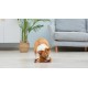 Star Wars for Pets Millennium Falcon Rope Frisbee Dog Toy, Millennium Falcon Chew Toy for Dogs Dog Toy, Dog Frisbee, Dog Tug Toy, Tug of War Chew Toy Star Wars for Pets Millennium Falcon Rope Frisbee Dog Toy, Millennium Falcon Chew Toy for Dogs Dog Toy, Dog Frisbee, Dog Tug Toy, Tug of War Chew Toy