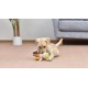 Star Wars for Pets Millennium Falcon Rope Frisbee Dog Toy, Millennium Falcon Chew Toy for Dogs Dog Toy, Dog Frisbee, Dog Tug Toy, Tug of War Chew Toy Star Wars for Pets Millennium Falcon Rope Frisbee Dog Toy, Millennium Falcon Chew Toy for Dogs Dog Toy, Dog Frisbee, Dog Tug Toy, Tug of War Chew Toy