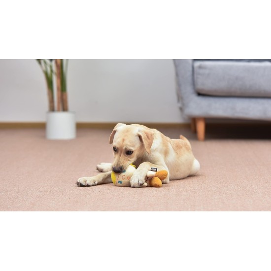 Star Wars for Pets Millennium Falcon Rope Frisbee Dog Toy, Millennium Falcon Chew Toy for Dogs Dog Toy, Dog Frisbee, Dog Tug Toy, Tug of War Chew Toy Star Wars for Pets Millennium Falcon Rope Frisbee Dog Toy, Millennium Falcon Chew Toy for Dogs Dog Toy, Dog Frisbee, Dog Tug Toy, Tug of War Chew Toy