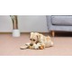 Star Wars for Pets Millennium Falcon Rope Frisbee Dog Toy, Millennium Falcon Chew Toy for Dogs Dog Toy, Dog Frisbee, Dog Tug Toy, Tug of War Chew Toy Star Wars for Pets Millennium Falcon Rope Frisbee Dog Toy, Millennium Falcon Chew Toy for Dogs Dog Toy, Dog Frisbee, Dog Tug Toy, Tug of War Chew Toy