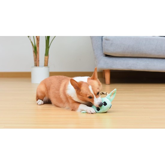 Star Wars for Pets Millennium Falcon Rope Frisbee Dog Toy, Millennium Falcon Chew Toy for Dogs Dog Toy, Dog Frisbee, Dog Tug Toy, Tug of War Chew Toy Star Wars for Pets Millennium Falcon Rope Frisbee Dog Toy, Millennium Falcon Chew Toy for Dogs Dog Toy, Dog Frisbee, Dog Tug Toy, Tug of War Chew Toy