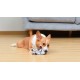 Star Wars for Pets Millennium Falcon Rope Frisbee Dog Toy, Millennium Falcon Chew Toy for Dogs Dog Toy, Dog Frisbee, Dog Tug Toy, Tug of War Chew Toy Star Wars for Pets Millennium Falcon Rope Frisbee Dog Toy, Millennium Falcon Chew Toy for Dogs Dog Toy, Dog Frisbee, Dog Tug Toy, Tug of War Chew Toy