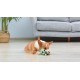 Star Wars for Pets Millennium Falcon Rope Frisbee Dog Toy, Millennium Falcon Chew Toy for Dogs Dog Toy, Dog Frisbee, Dog Tug Toy, Tug of War Chew Toy Star Wars for Pets Millennium Falcon Rope Frisbee Dog Toy, Millennium Falcon Chew Toy for Dogs Dog Toy, Dog Frisbee, Dog Tug Toy, Tug of War Chew Toy