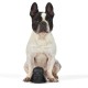 Star Wars for Pets Millennium Falcon Rope Frisbee Dog Toy, Millennium Falcon Chew Toy for Dogs Dog Toy, Dog Frisbee, Dog Tug Toy, Tug of War Chew Toy Star Wars for Pets Millennium Falcon Rope Frisbee Dog Toy, Millennium Falcon Chew Toy for Dogs Dog Toy, Dog Frisbee, Dog Tug Toy, Tug of War Chew Toy