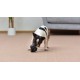 Star Wars for Pets Millennium Falcon Rope Frisbee Dog Toy, Millennium Falcon Chew Toy for Dogs Dog Toy, Dog Frisbee, Dog Tug Toy, Tug of War Chew Toy Star Wars for Pets Millennium Falcon Rope Frisbee Dog Toy, Millennium Falcon Chew Toy for Dogs Dog Toy, Dog Frisbee, Dog Tug Toy, Tug of War Chew Toy