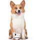Star Wars for Pets Millennium Falcon Rope Frisbee Dog Toy, Millennium Falcon Chew Toy for Dogs Dog Toy, Dog Frisbee, Dog Tug Toy, Tug of War Chew Toy Star Wars for Pets Millennium Falcon Rope Frisbee Dog Toy, Millennium Falcon Chew Toy for Dogs Dog Toy, Dog Frisbee, Dog Tug Toy, Tug of War Chew Toy