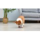 Star Wars for Pets Millennium Falcon Rope Frisbee Dog Toy, Millennium Falcon Chew Toy for Dogs Dog Toy, Dog Frisbee, Dog Tug Toy, Tug of War Chew Toy Star Wars for Pets Millennium Falcon Rope Frisbee Dog Toy, Millennium Falcon Chew Toy for Dogs Dog Toy, Dog Frisbee, Dog Tug Toy, Tug of War Chew Toy