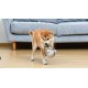 Star Wars for Pets Millennium Falcon Rope Frisbee Dog Toy, Millennium Falcon Chew Toy for Dogs Dog Toy, Dog Frisbee, Dog Tug Toy, Tug of War Chew Toy Star Wars for Pets Millennium Falcon Rope Frisbee Dog Toy, Millennium Falcon Chew Toy for Dogs Dog Toy, Dog Frisbee, Dog Tug Toy, Tug of War Chew Toy