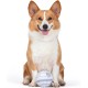 Star Wars for Pets Millennium Falcon Rope Frisbee Dog Toy, Millennium Falcon Chew Toy for Dogs Dog Toy, Dog Frisbee, Dog Tug Toy, Tug of War Chew Toy Star Wars for Pets Millennium Falcon Rope Frisbee Dog Toy, Millennium Falcon Chew Toy for Dogs Dog Toy, Dog Frisbee, Dog Tug Toy, Tug of War Chew Toy