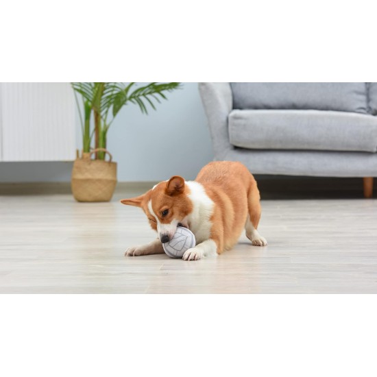 Star Wars for Pets Millennium Falcon Rope Frisbee Dog Toy, Millennium Falcon Chew Toy for Dogs Dog Toy, Dog Frisbee, Dog Tug Toy, Tug of War Chew Toy Star Wars for Pets Millennium Falcon Rope Frisbee Dog Toy, Millennium Falcon Chew Toy for Dogs Dog Toy, Dog Frisbee, Dog Tug Toy, Tug of War Chew Toy