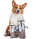 Star Wars for Pets Millennium Falcon Rope Frisbee Dog Toy, Millennium Falcon Chew Toy for Dogs Dog Toy, Dog Frisbee, Dog Tug Toy, Tug of War Chew Toy Star Wars for Pets Millennium Falcon Rope Frisbee Dog Toy, Millennium Falcon Chew Toy for Dogs Dog Toy, Dog Frisbee, Dog Tug Toy, Tug of War Chew Toy