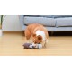 Star Wars for Pets Millennium Falcon Rope Frisbee Dog Toy, Millennium Falcon Chew Toy for Dogs Dog Toy, Dog Frisbee, Dog Tug Toy, Tug of War Chew Toy Star Wars for Pets Millennium Falcon Rope Frisbee Dog Toy, Millennium Falcon Chew Toy for Dogs Dog Toy, Dog Frisbee, Dog Tug Toy, Tug of War Chew Toy