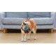 Star Wars for Pets Millennium Falcon Rope Frisbee Dog Toy, Millennium Falcon Chew Toy for Dogs Dog Toy, Dog Frisbee, Dog Tug Toy, Tug of War Chew Toy Star Wars for Pets Millennium Falcon Rope Frisbee Dog Toy, Millennium Falcon Chew Toy for Dogs Dog Toy, Dog Frisbee, Dog Tug Toy, Tug of War Chew Toy
