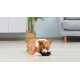 Star Wars for Pets Millennium Falcon Rope Frisbee Dog Toy, Millennium Falcon Chew Toy for Dogs Dog Toy, Dog Frisbee, Dog Tug Toy, Tug of War Chew Toy Star Wars for Pets Millennium Falcon Rope Frisbee Dog Toy, Millennium Falcon Chew Toy for Dogs Dog Toy, Dog Frisbee, Dog Tug Toy, Tug of War Chew Toy