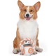 Star Wars for Pets Millennium Falcon Rope Frisbee Dog Toy, Millennium Falcon Chew Toy for Dogs Dog Toy, Dog Frisbee, Dog Tug Toy, Tug of War Chew Toy Star Wars for Pets Millennium Falcon Rope Frisbee Dog Toy, Millennium Falcon Chew Toy for Dogs Dog Toy, Dog Frisbee, Dog Tug Toy, Tug of War Chew Toy