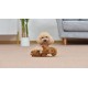 Star Wars for Pets Millennium Falcon Rope Frisbee Dog Toy, Millennium Falcon Chew Toy for Dogs Dog Toy, Dog Frisbee, Dog Tug Toy, Tug of War Chew Toy Star Wars for Pets Millennium Falcon Rope Frisbee Dog Toy, Millennium Falcon Chew Toy for Dogs Dog Toy, Dog Frisbee, Dog Tug Toy, Tug of War Chew Toy