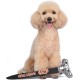 Star Wars for Pets Millennium Falcon Rope Frisbee Dog Toy, Millennium Falcon Chew Toy for Dogs Dog Toy, Dog Frisbee, Dog Tug Toy, Tug of War Chew Toy Star Wars for Pets Millennium Falcon Rope Frisbee Dog Toy, Millennium Falcon Chew Toy for Dogs Dog Toy, Dog Frisbee, Dog Tug Toy, Tug of War Chew Toy